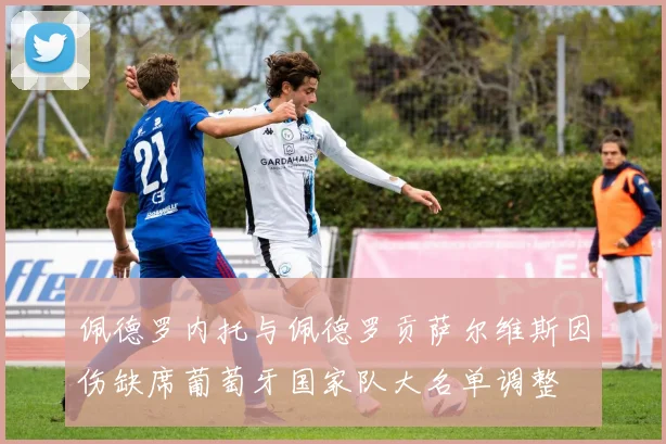 佩德罗内托与佩德罗贡萨尔维斯因伤缺席葡萄牙国家队大名单调整