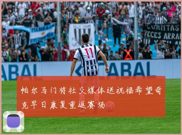 帕尔马门将社交媒体送祝福希望奇克早日康复重返赛场