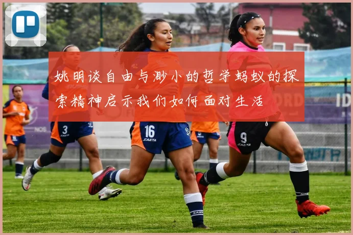 姚明谈自由与渺小的哲学蚂蚁的探索精神启示我们如何面对生活